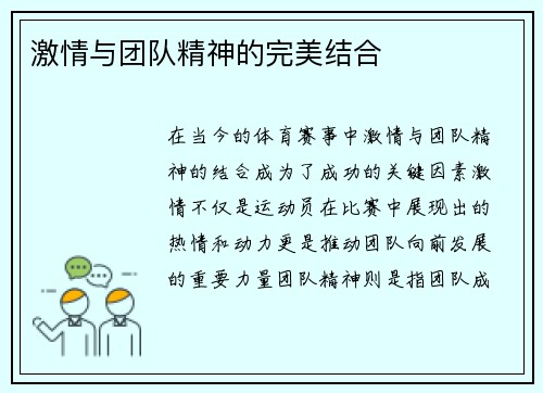 激情与团队精神的完美结合